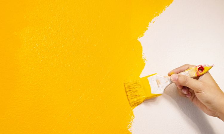 House Painting Services in Blaxland – Pro4 Painting-3