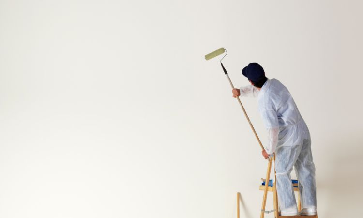House Painting Services in Mount Victoria – Pro4 Painting-2