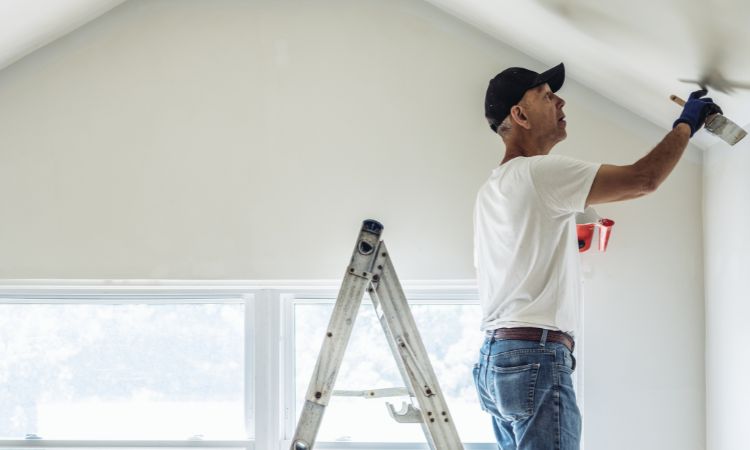 Professional House Painting Services in ⁠Emu Height Pro4 Painting