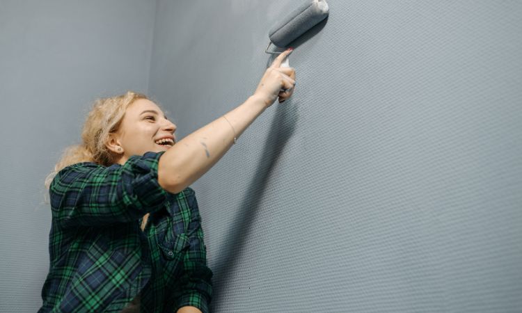 Professional House Painting Services in Fairy Meadow Pro4 Painting