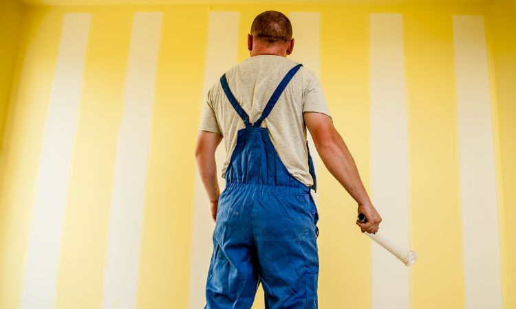 Professional House Painting Services in Kiama– Pro4 Painting Office Painting