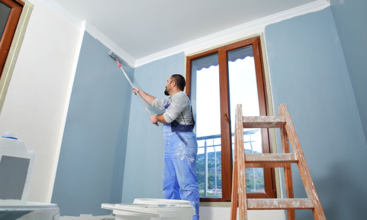 Professional House Painting Services in North Wollongong– Pro4 Painting Office Painting