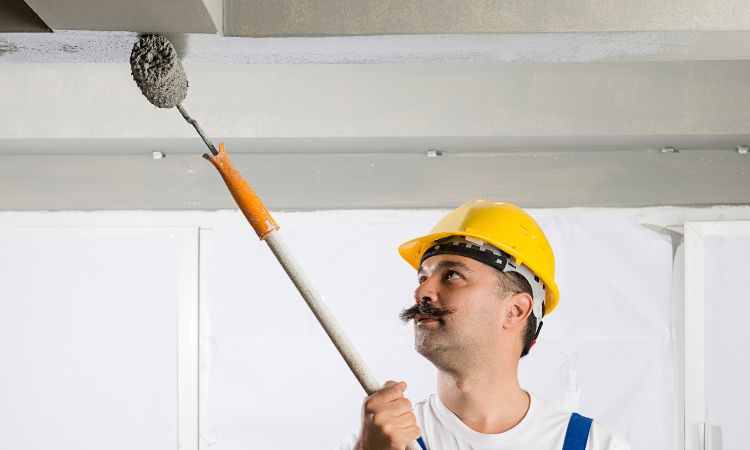Professional House Painting Services in – Pro4 Painting Exterior Painting-Shellharbour