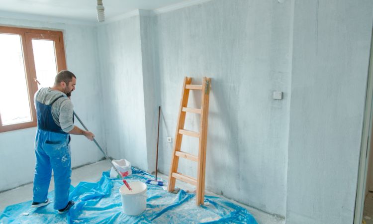 Professional House Painting Services in – Pro4 Painting Interior painting-Shellharbour