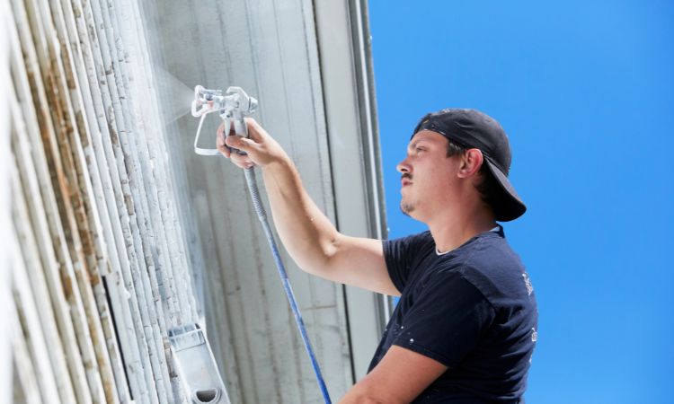 Professional House Painting Services in ⁠Albion Park– Pro4 Painting Office Painting