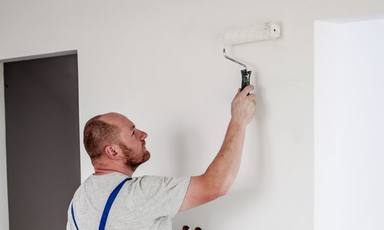 Professional House Painting Services in ⁠Jamberoo– Pro4 Painting Exterior Painting