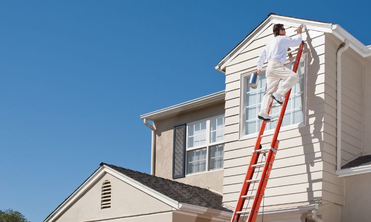 Why Choose Us for House Painting in Kingswood