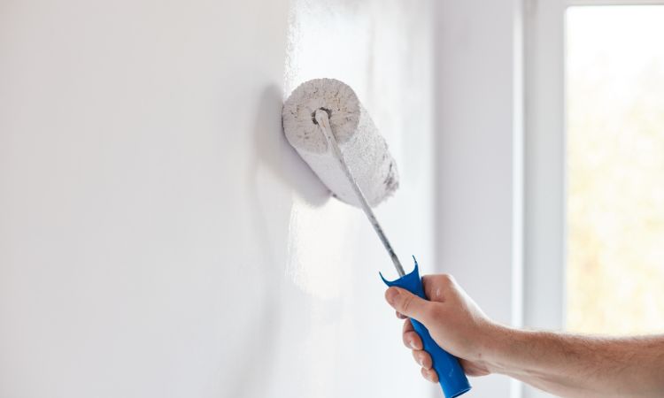 Why Choose Us for House Painting in Mount Irvine