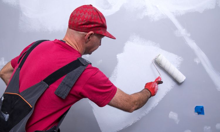 Why Choose Us for House Painting in Wentworth Falls