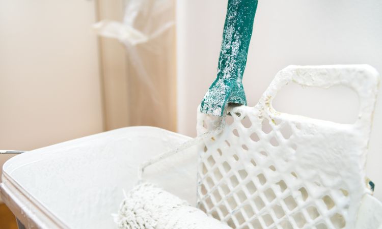 Fully Insured and Licensed Painters-Balgowlah Heights