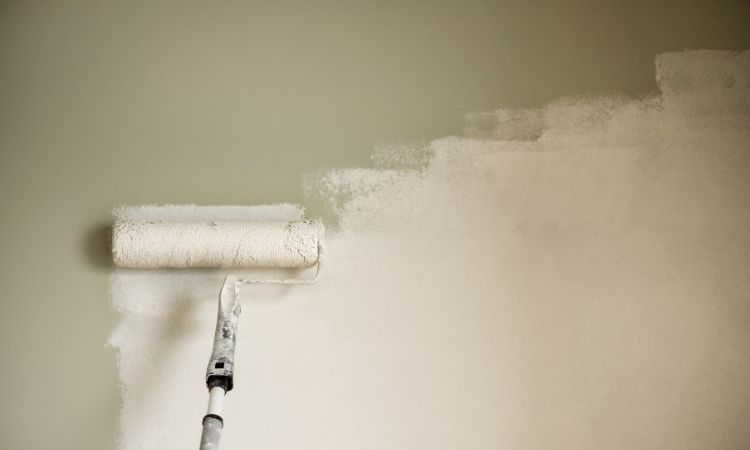 Fully Insured and Licensed Painters-Belrose