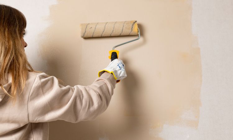 High Quality & Affordable Painting Services-Avalon Beach