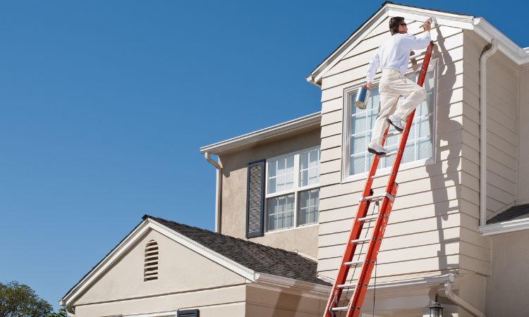Transform Your Home with Pro4 Painting-Allambie Heights