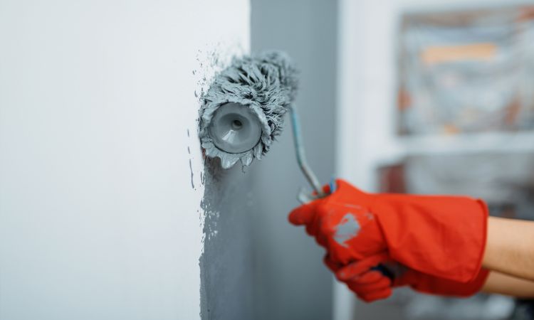 Transform Your Home with Pro4 Painting-Avalon Beach