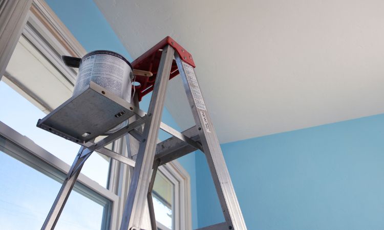 Transform Your Home with Pro4 Painting-Belrose