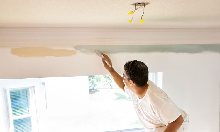Transform Your Home with Pro4 Painting-Bilgola Beach