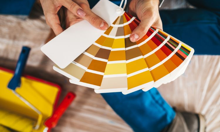 Why Choose Us for House Painting in Avalon Beach
