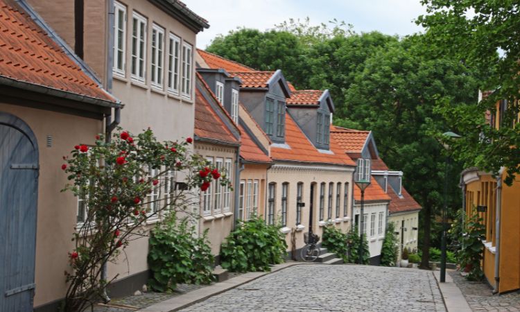 Why Choose Us for House Painting in-Belrose