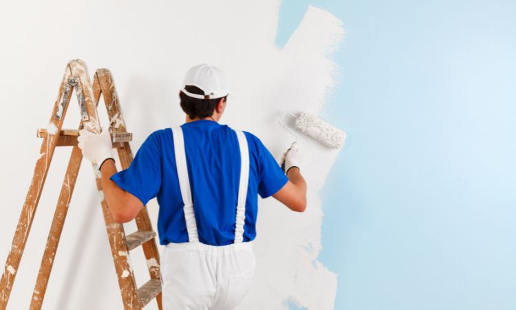 Why Choose Us for House Painting in Bilgola Beach