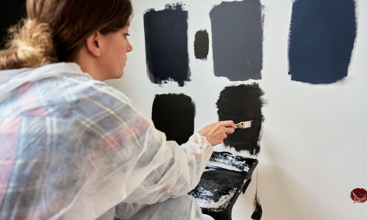 Fully Insured and Licensed Painters-Collaroy Plateau