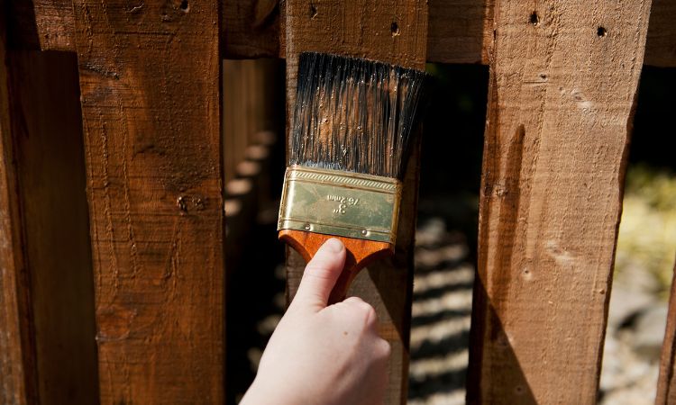 Fully Insured and Licensed Painters-Curl Curl