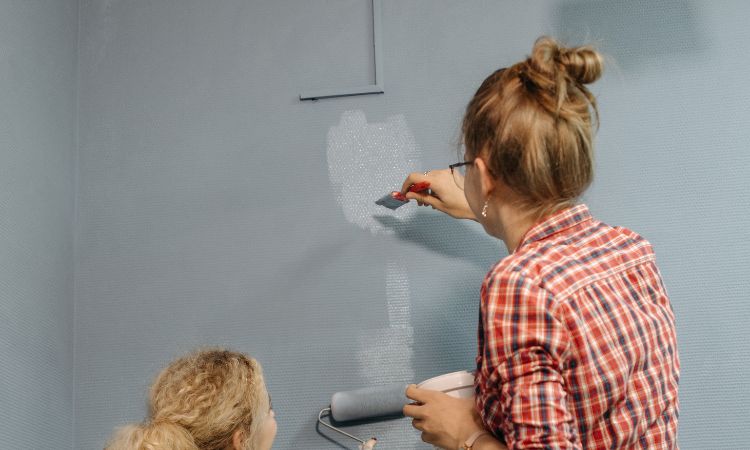 Fully Insured and Licensed Painters in Clontarf