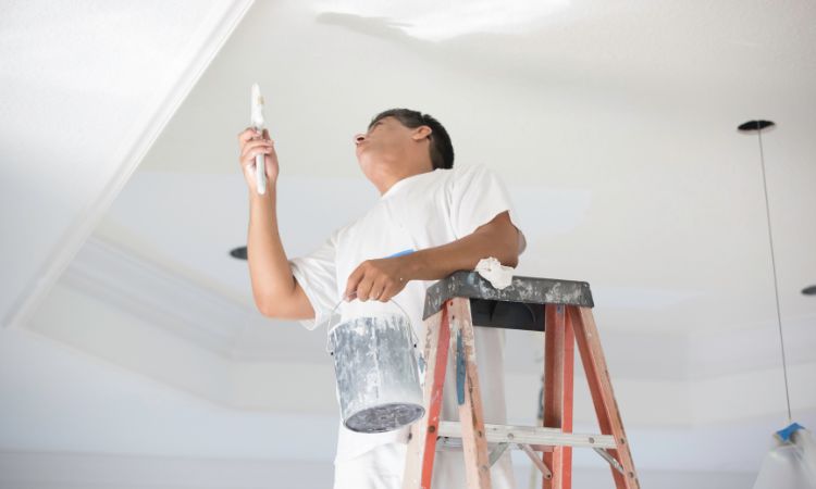 High Quality & Affordable Painting Services Collaroy