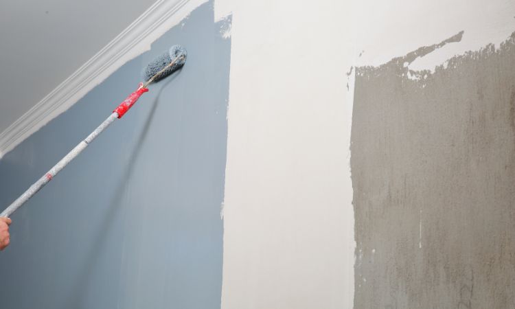 More than 10 Years of Professional Experience in Clontarf