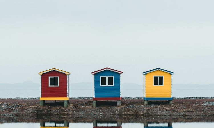 Fully Insured and Licensed Painters-Arcadia