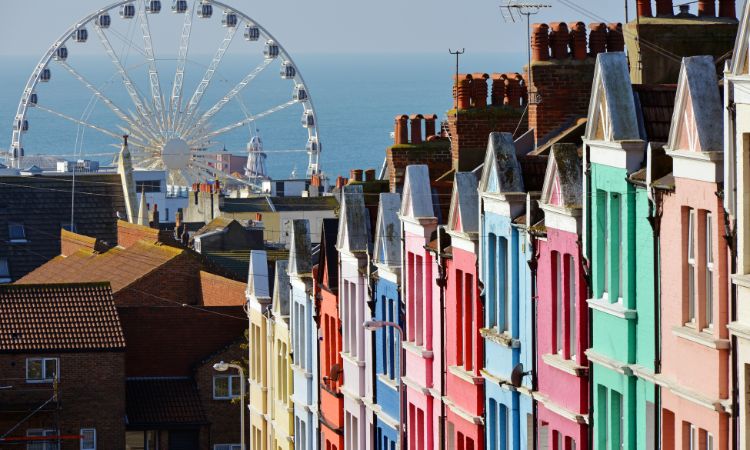 Fully Insured and Licensed Painters-Carlingford