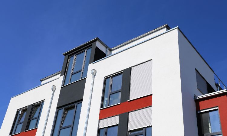 High Quality & Affordable Painting Services-Camellia