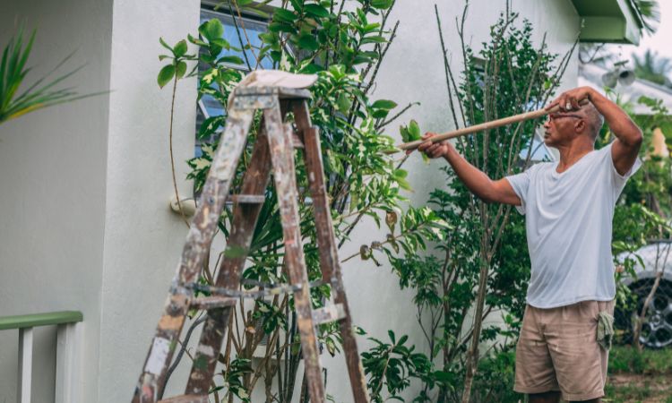 High Quality & Affordable Painting Services-Clyde