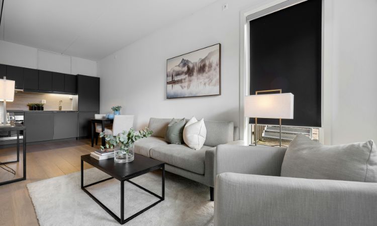 Transform Your Home with Pro4 Painting-North Rocks