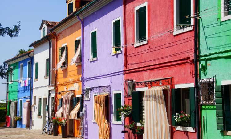 Why Choose Us for House Painting in-Beecroft