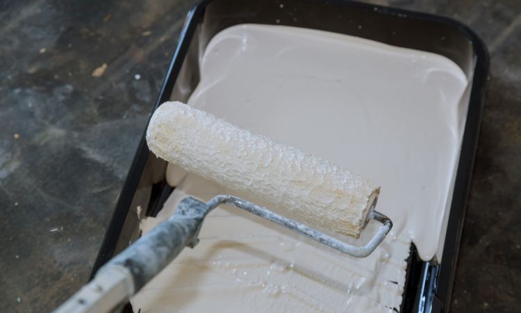 Why Choose Us for House Painting in Carlingford