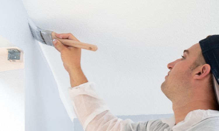 Why Choose Us for House Painting in-Central Coast