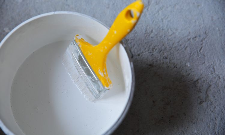 High Quality & Affordable Painting Services-Maraylya