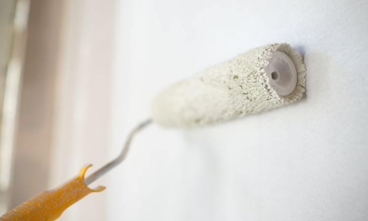 More than 10 Years of Professional Experience-Maraylya