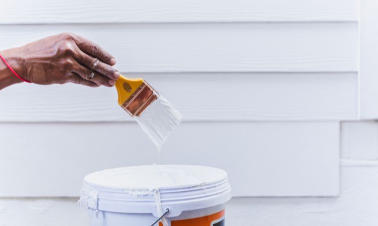 Transform Your Home with Pro4 Painting-Glenhaven