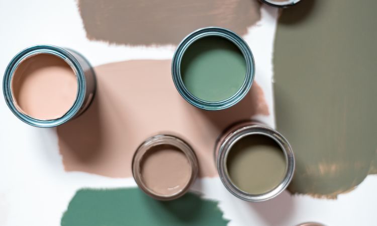Why Choose Us for House Painting in-Sackville North